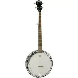 Банджо Washburn 5-String Banjo