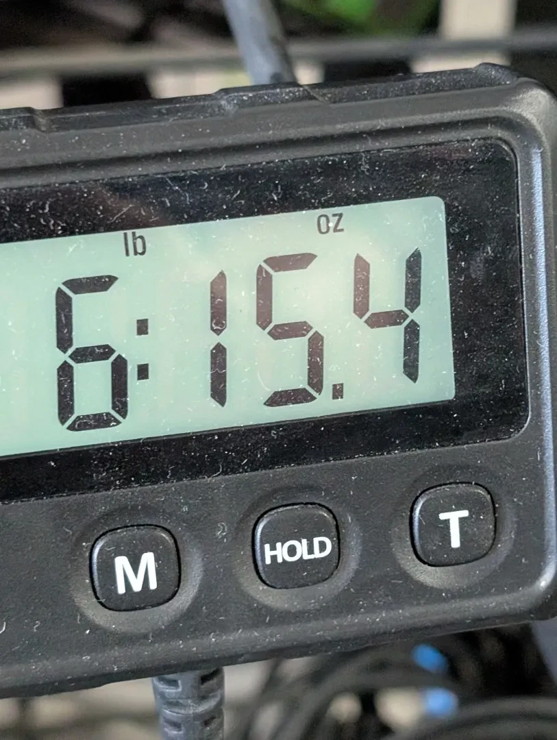 Изображение №10