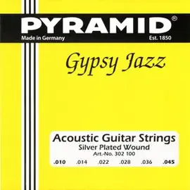 Струны для акустической гитары Pyramid 302100 Silver Wound 10-45