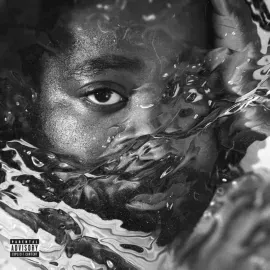 Виниловая пластинка R.LUM.R – Surfacing Sealed