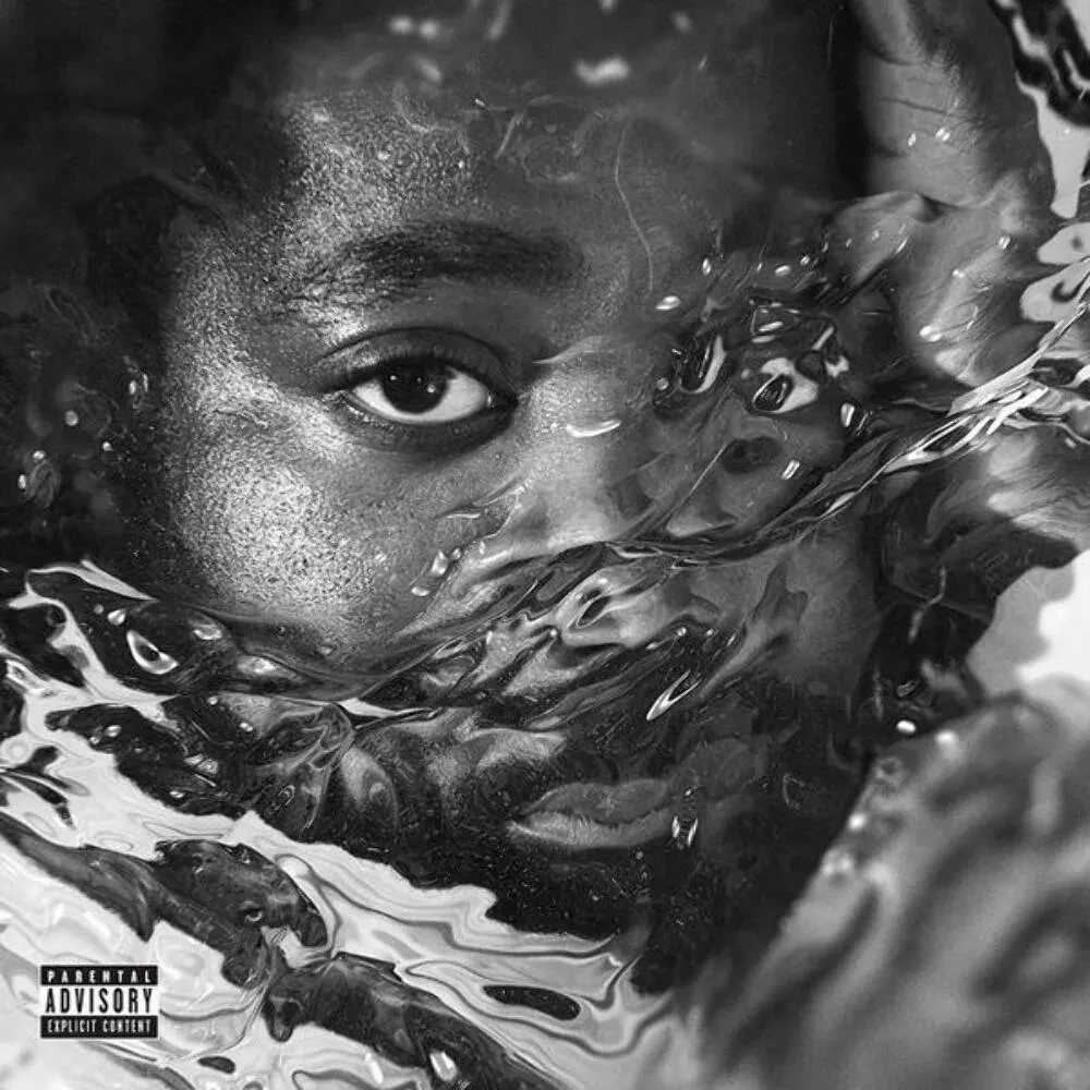 Виниловая пластинка R.LUM.R – Surfacing Sealed