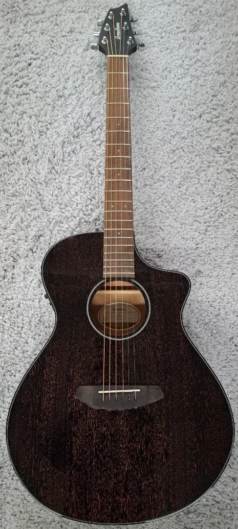 Breedlove Limited Discovery Concert Black Widow Acoustic Electric Guitar