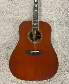 D'Angelico Excel Lexington Acoustic Electric Guitar, Auburn DAED300AUBGP w/Case