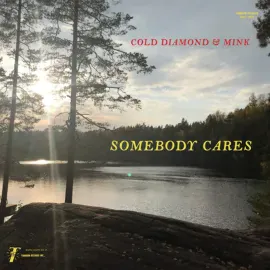 Виниловая пластинка Cold Diamond & Mink – Somebody Cares 2024