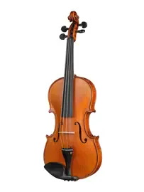 Скрипка Gliga P-V044 Professional Gama 4/4