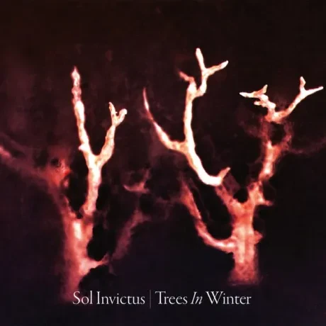 SOL INVICTUS - Trees In Winter (CD)