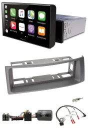 Pioneer Bluetooth Lenkrad DAB USB Autoradio für Renault Megane Scenic 96-00 anth