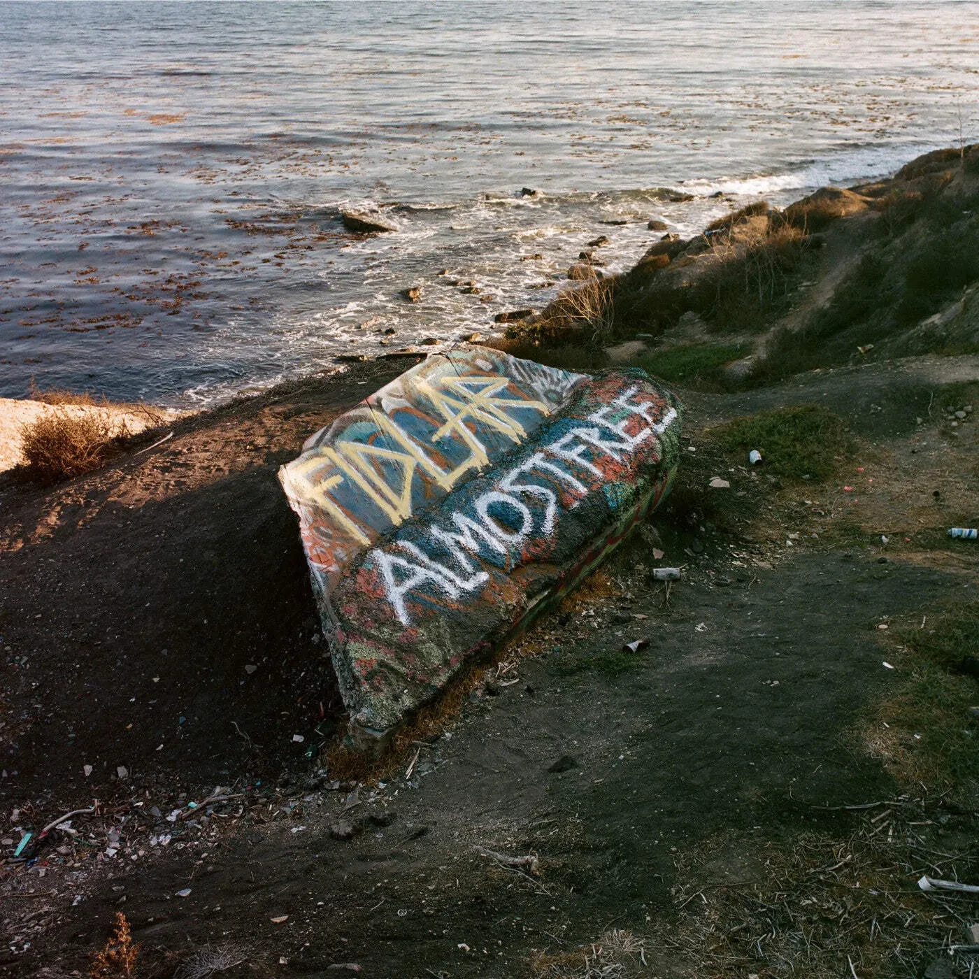 Виниловая пластинка Fidlar – Almost Free (Релиз 2026)