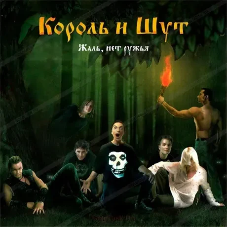 Виниловая пластинка КОРОЛЬ И ШУТ – Жаль, Нет Ружья