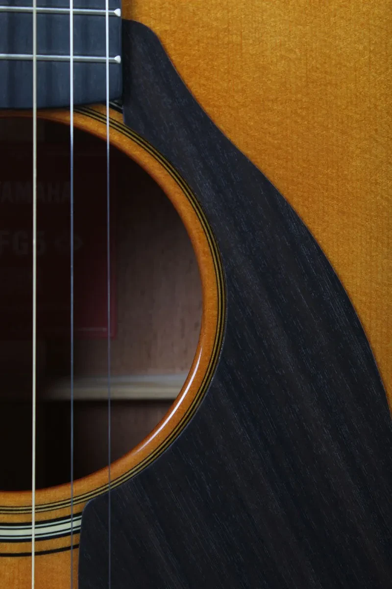 Изображение №5