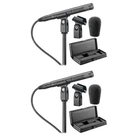 Микрофон для вещания и записи Audio-Technica AT4051B (набор, 2 шт.) с кейсом