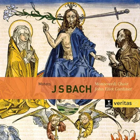 JOHN ELIOT GARDINER - Bach: Motets Bwv 225-231, Cantatas Bwv 50 & 118 (2CD)