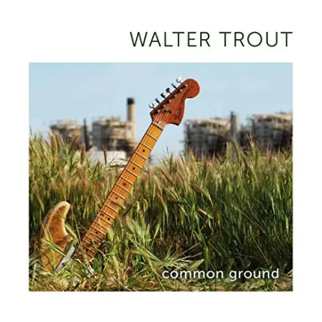 WALTER TROUT - Common Ground (CD)