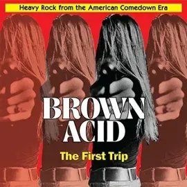 Виниловая пластинка Various Artists - Brown Acid: First Trip (Various Artists) [New Vinyl LP]