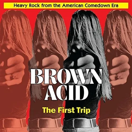 Виниловая пластинка Various Artists - Brown Acid: First Trip (Various Artists) [New Vinyl LP]
