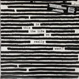 Виниловая пластинка Roger Waters – Is This The Life We Really Want?
