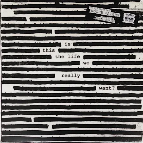 Виниловая пластинка Roger Waters – Is This The Life We Really Want?