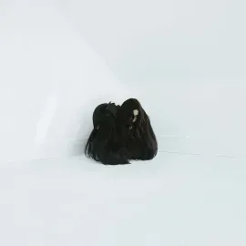 Chelsea Wolfe - Hiss Spun [Indie-Exclusive Red & Clear Vinyl] NEW Vinyl