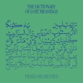Виниловая пластинка Praed Orchestra - The Dictionary Of Lost Meanings [New Vinyl LP]