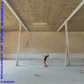 Виниловая пластинка Torres – What an Enormous Room 2024