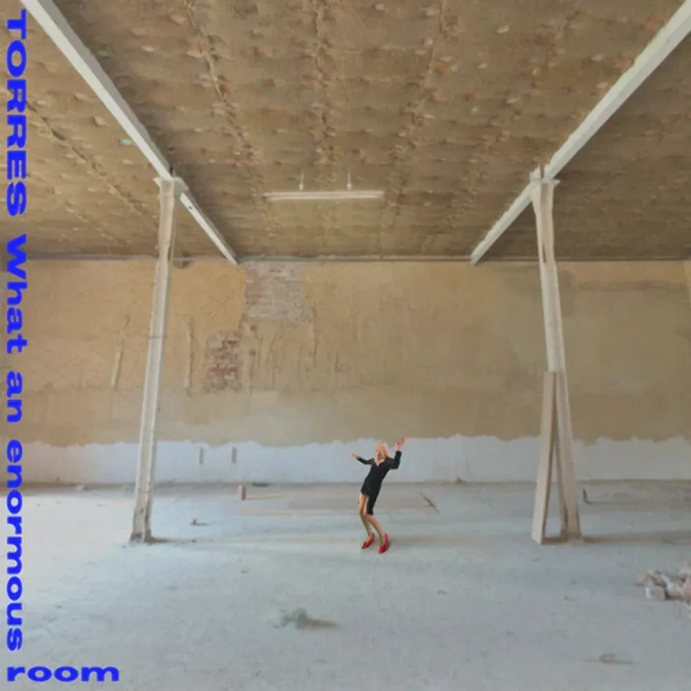 Виниловая пластинка Torres – What an Enormous Room 2024