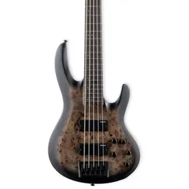Бас-гитара ESP LTD B-5 Ebony Burl Poplar 5-String Charcoal Burst Satin