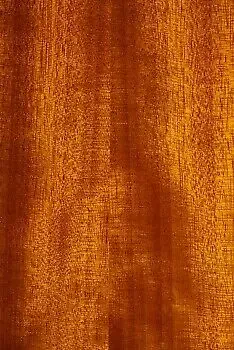 Изображение №10