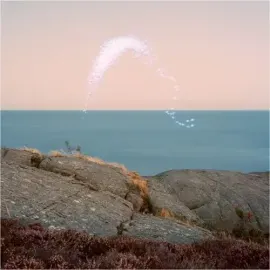 Виниловая пластинка Cassandra Jenkins - An Overview on Phenomenal Nature [New Vinyl LP]