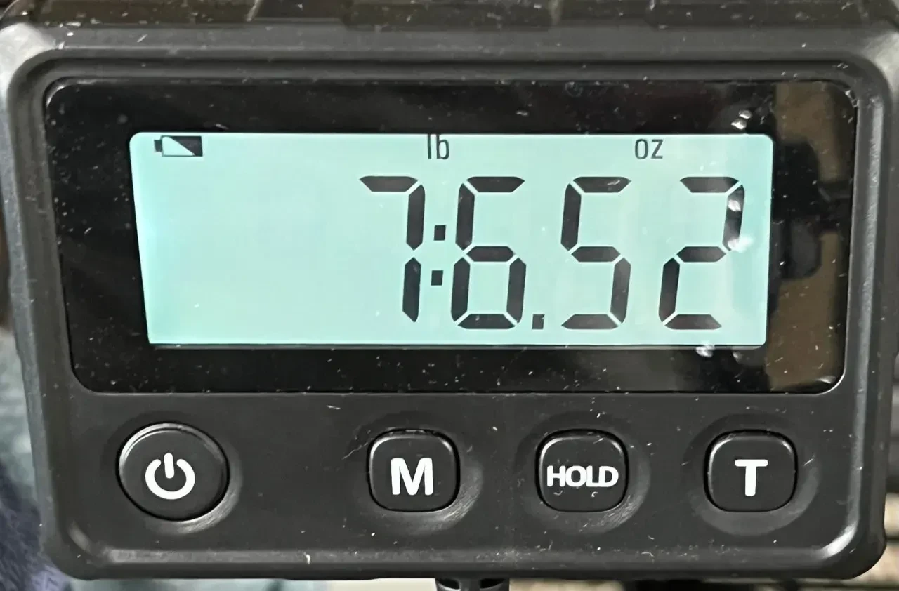 Изображение №12