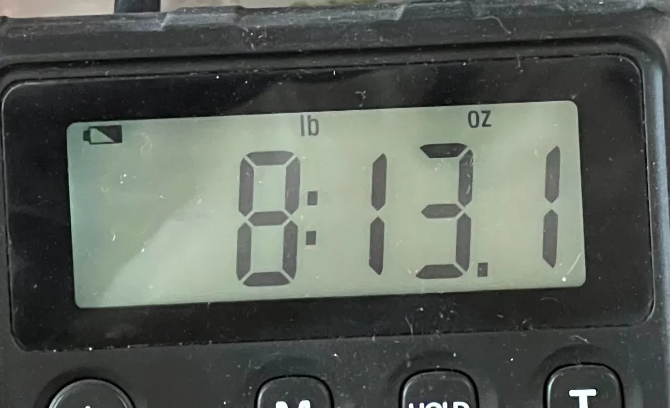 Изображение №9