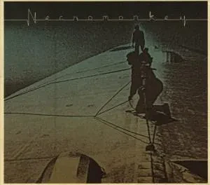 NECROMONKEY - A Glimpse Of Possible Endings (CD, Digisleeve)