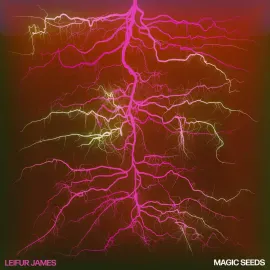 Виниловая пластинка Leifur James – Magic Seeds (Релиз 2024)