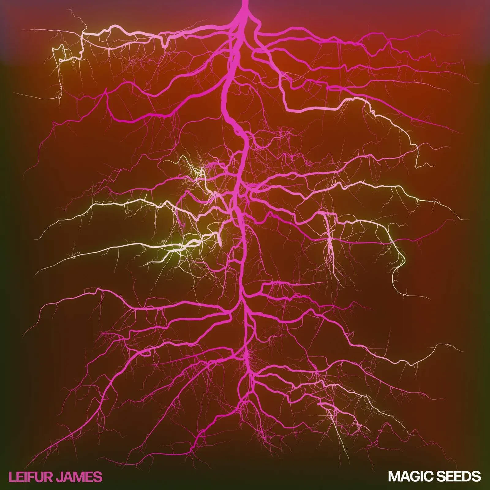 Виниловая пластинка Leifur James – Magic Seeds (Релиз 2024)