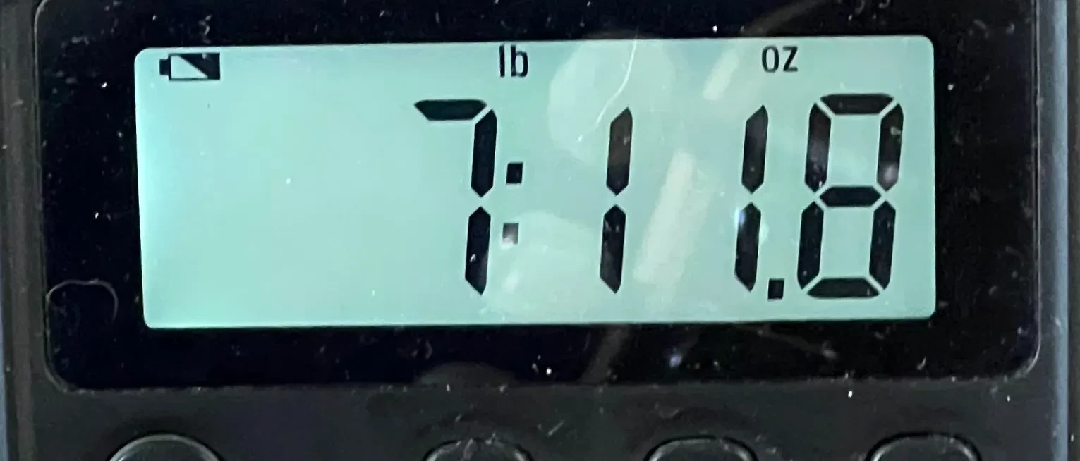 Изображение №4