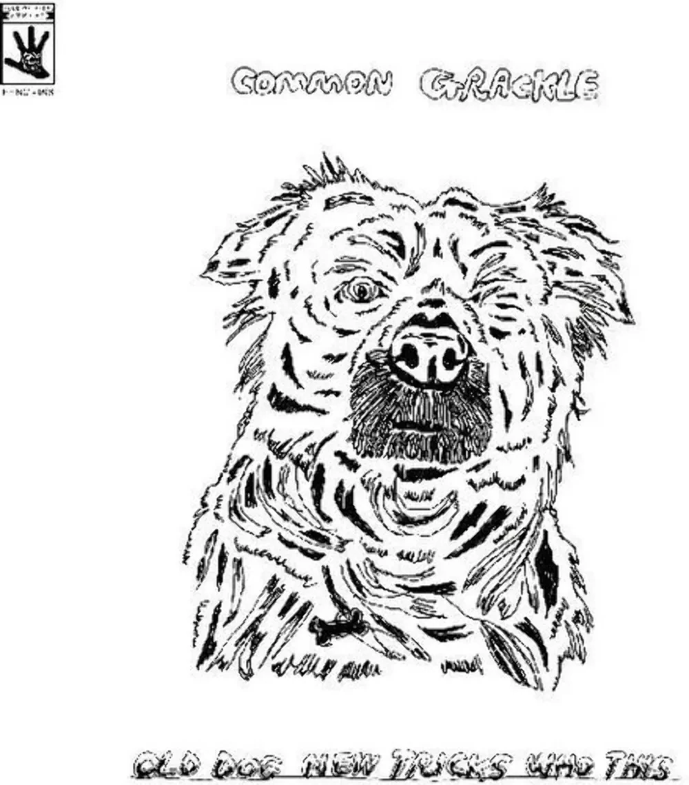 Виниловая пластинка Common Grackle – Old Dog New Tricks Who This (Релиз 2021) Sealed