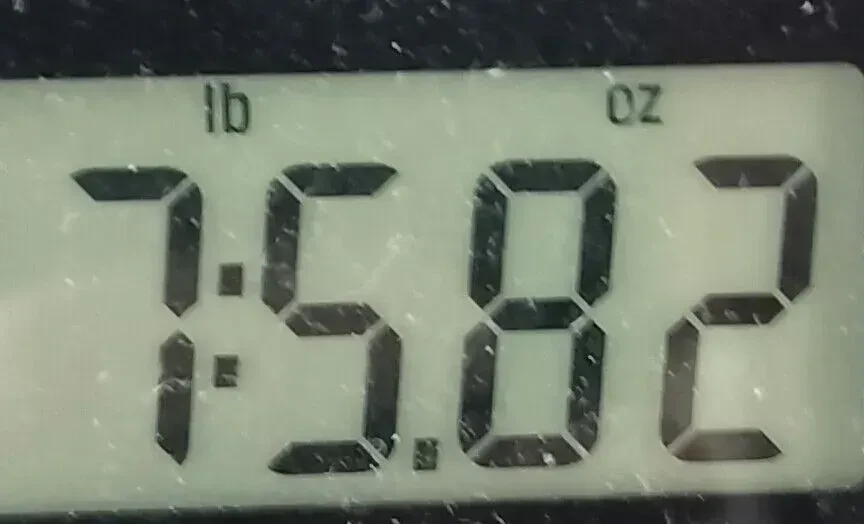 Изображение №9