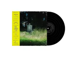 Виниловая пластинка Frank Carter & The Rattlesnakes – Dark Rainbow 2024
