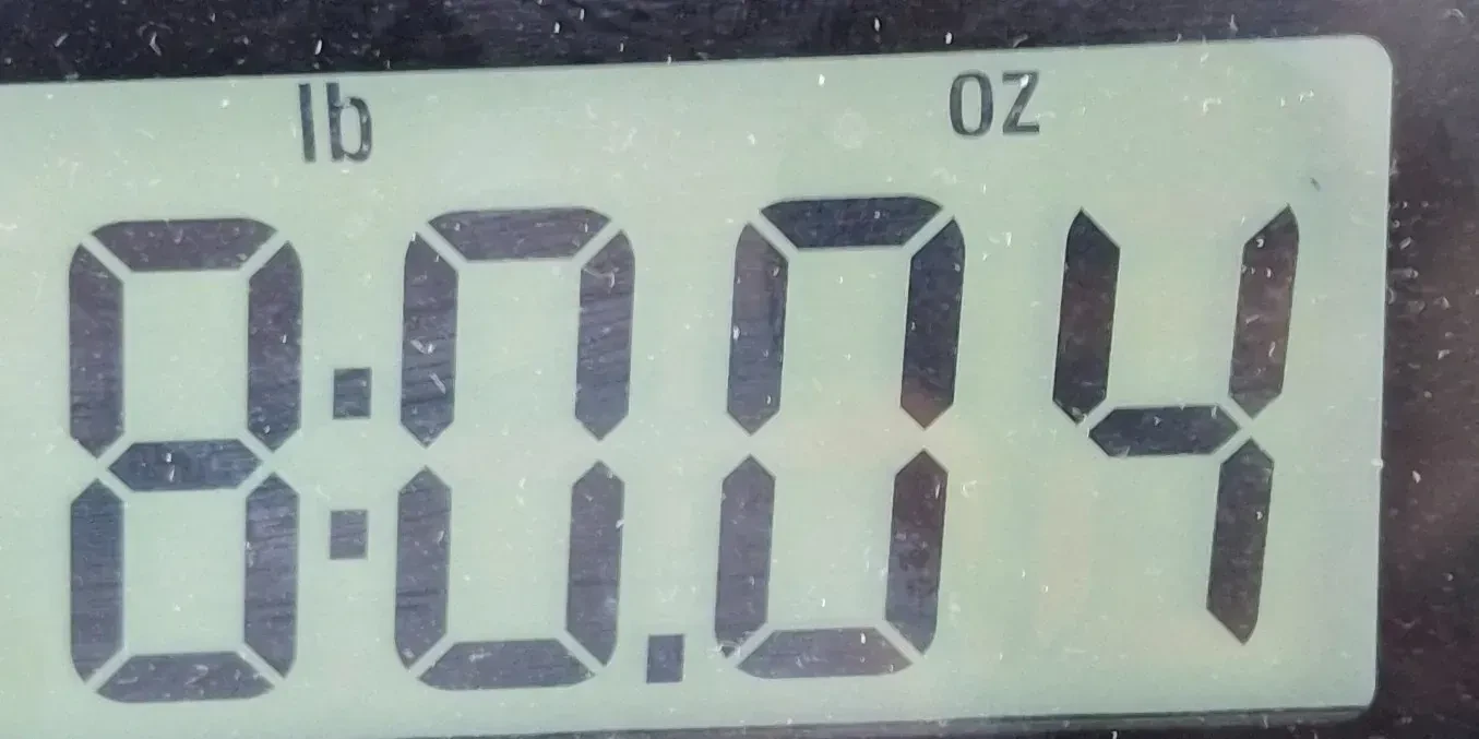 Изображение №10