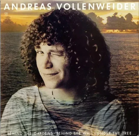 Виниловая пластинка Andreas Vollenweider – Behind The Gardens