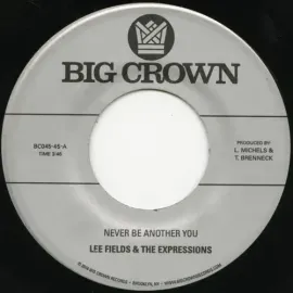 Виниловая пластинка The Expressions - Never Be Another You / Lover [New 7" Vinyl]
