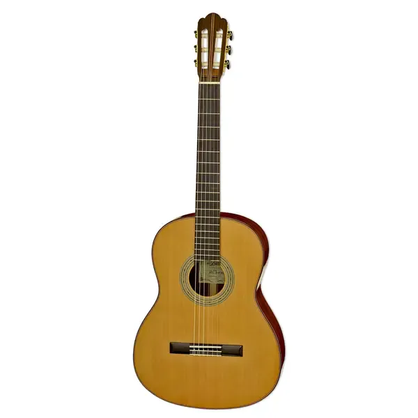 Классическая гитара Aria C201