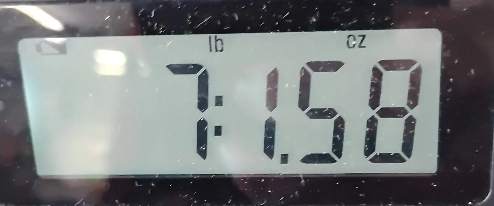 Изображение №11