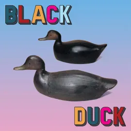 Виниловая пластинка Black Duck – Black Duck (Релиз 2023)