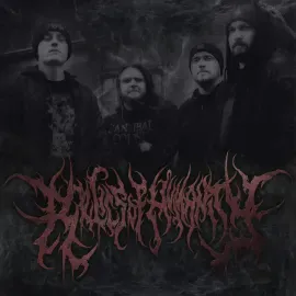 Виниловая пластинка Relics of Humanity – Absolute Dismal Domain (Релиз 2025)