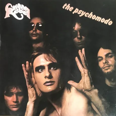 COCKNEY REBEL - The Psychomodo (LP , Used)