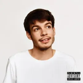 Виниловая пластинка Rex Orange County – Pony Sealed