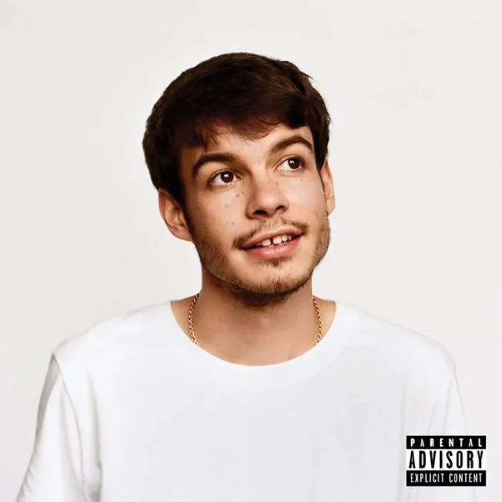 Виниловая пластинка Rex Orange County – Pony Sealed