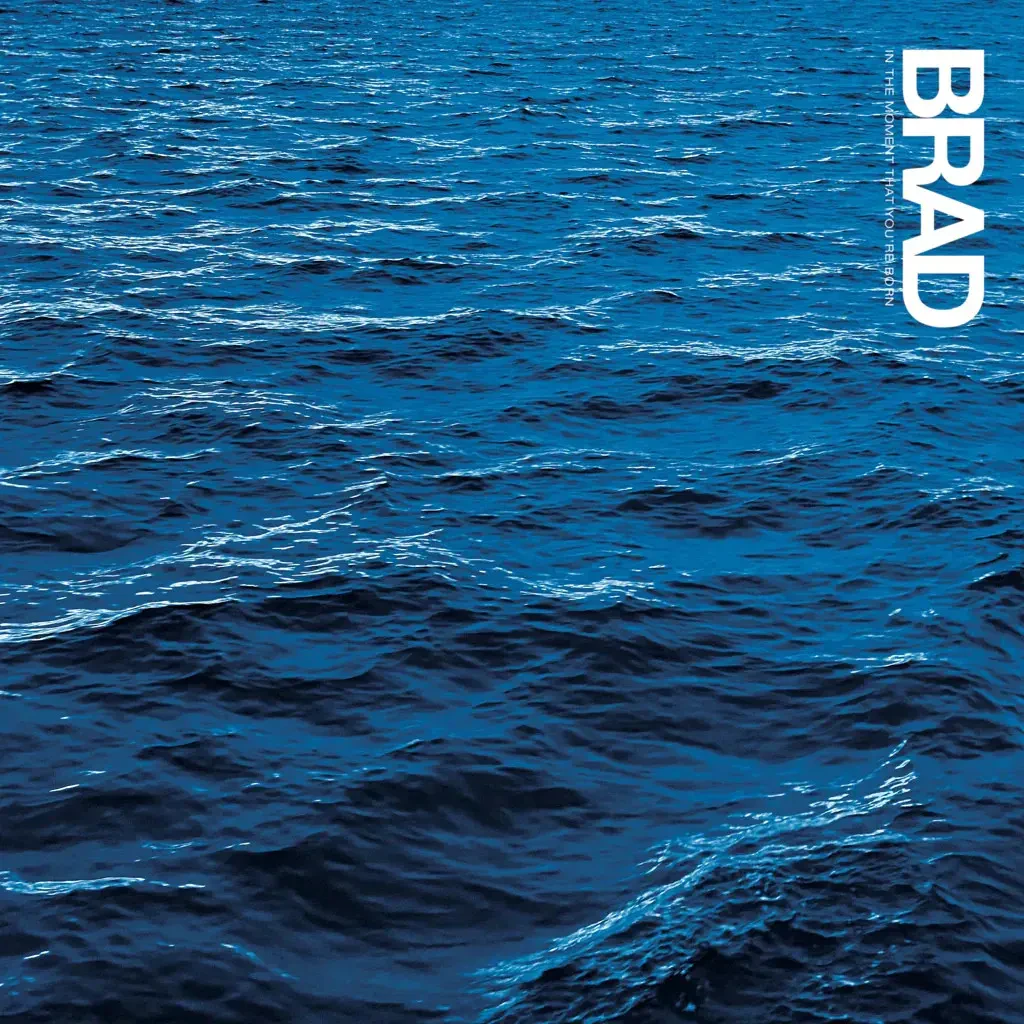 Виниловая пластинка Brad – In The Moment That You're Born 2023 Sealed
