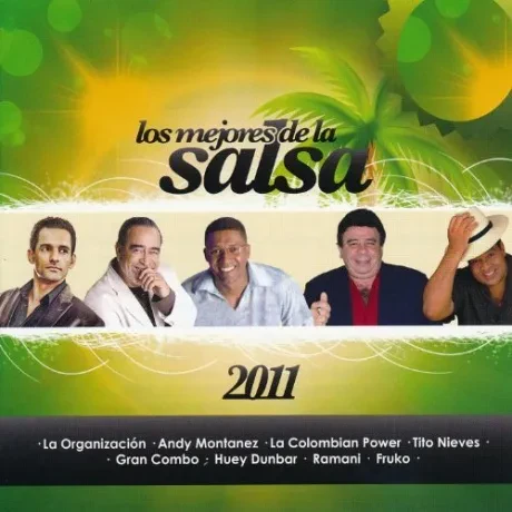 VARIOUS ARTISTS - Los Mejores De La Salsa 2011 (CD)