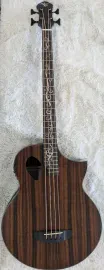 Michael Kelly Dragonfly 4 Port Acoustic-Electric Bass, Fretless - NAMM 26 Sample